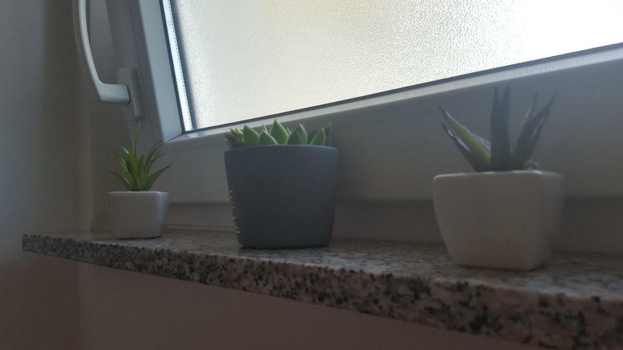 Sunny Kvarner Apartment Rijeka Zewnętrze zdjęcie